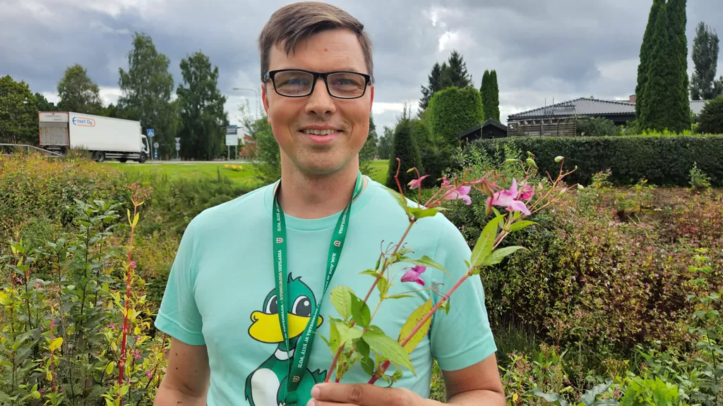Teemu Björninen esittelee kitkemäänsä jättipalsamia ja haastaa kaikki mukaan torjuntatalkoisiin. Kuva: Tanja-Annika Sillanpää